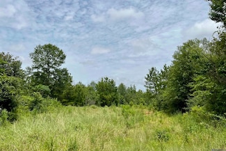20 Louisiana 960, Clinton, LA 70722