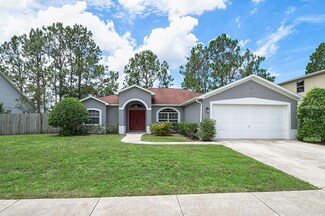 4631 Birdsong Blvd, Lutz, FL 33559