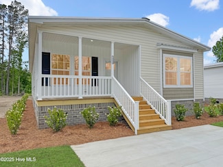 1009 Pine Ridge Ct, Castle Hayne, NC 28429