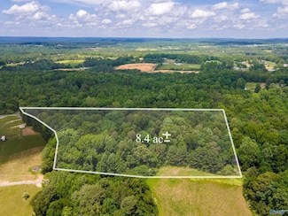 8.40 Naples Ln, Arab, AL 35016