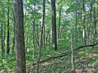 112 & 113 Grouse Rd, Clyde, NC 28721