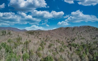 24+AC Goose Island Rd, Cherry Log, GA 30522