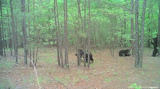 0 Oklahoma 144, Nashoba, OK 74558