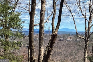 8088 Ridgeview Dr, Big Canoe, GA 30143