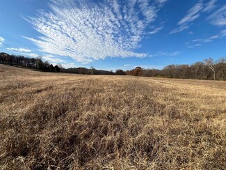 117.71 Acres Cemetery Rd, Scottsville, KY 42164