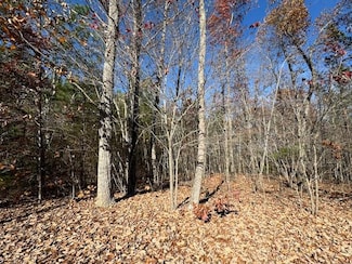 0 Chestnut Grove Rd Unit 56614, Appomattox, VA 24522