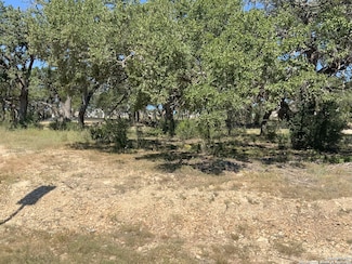 24610 Cliff Line, San Antonio, TX 78257