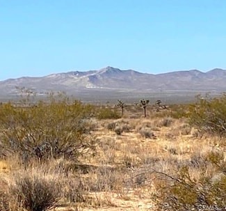 1 Shelby Rd, Helendale, CA 92342