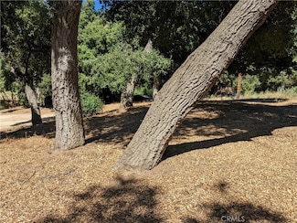 0 San Francisquito Cyn Rd Unit EV23155760, Green Valley, CA 91390