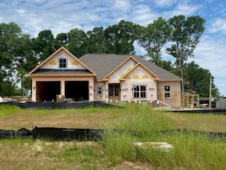 1401 Power Dam Rd, Newton, AL 36352