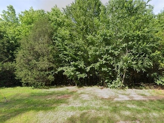 0 Springview Dr Unit 22886896, Westminister, SC 29693
