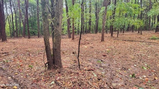 0 Montview Dr, Lenoir City, TN 37771