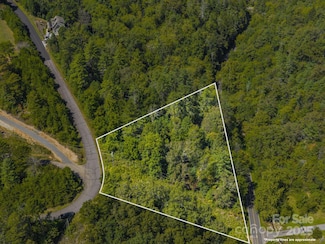 0000 Highland Creek Dr Unit 31, Marshall, NC 28753