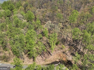 0 Stone Cliff Trace Unit 10565318, Cleveland, GA 30528