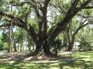 LOT 42 Lone Pine Ct, Waverly, GA 31565