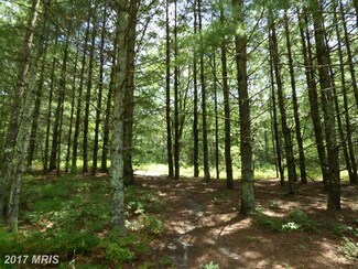 0 Mitchell Mt Rd Unit 1000196723, Fort Seybert, WV 26802