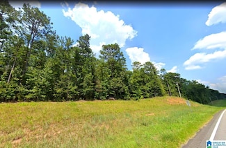 0 Alabama 22 Unit 21418169, Rockford, AL 35136