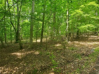 Lt2 Loflin Pond Rd, Asheboro, NC 27203
