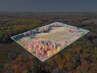 0 N Centerline Rd Unit 25054462, White Cloud, MI 49349