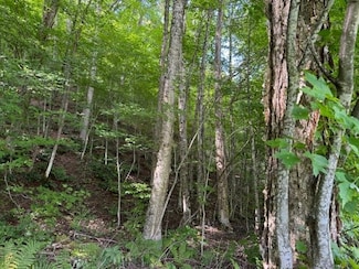 0 Main St, Albany, VT 05820