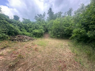 0 Cope Creek Rd Unit 26041313, Sylva, NC 28779
