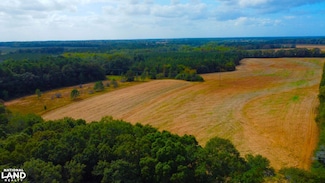 0 County Road 33 Unit 22299764, Headland, AL 36345