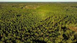 Scarboro Landing, Millen, GA 30442