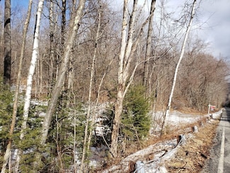 0 E River Rd Lot 13 Map 409 Unit 72690617, Chester, MA 01050