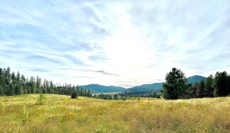 1617 S D 395 Hwy, Chewelah, WA 99109