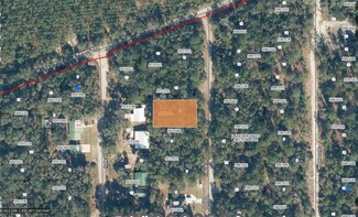 115 Laurel Dr, Florahome, FL 32140