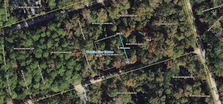 XX Noles Ln, Crawfordville, FL 32327