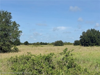63 Joyner Rd, Venus, FL 33960