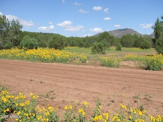 144 B N Ranch Rd Unit 144B, Williams, AZ 86046