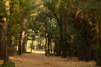 8575 Fm 485, Cameron, TX 76520