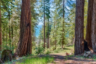 22196 Umland Cir, Timber Cove, CA 95450