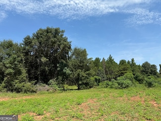 02 Trotman Rd, Lumpkin, GA 39815