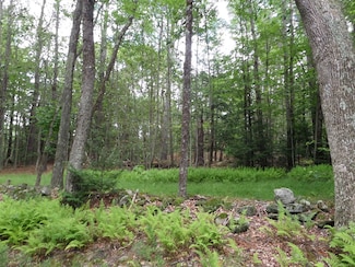 0 Pynchon Rd Unit 73402258, Chesterfield, MA 01012