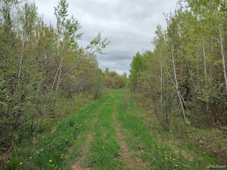 TBD Victoria Norwich Cut Across Rd, Rockland, MI 49960