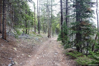 00 Broomfield Gulch Rd, Black Hawk, CO 80452