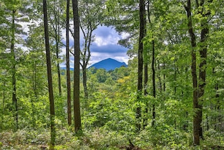 108 Uplands Rd, Cashiers, NC 28717