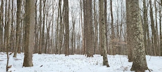 69 San Andres Rd, Dubois, PA 15801
