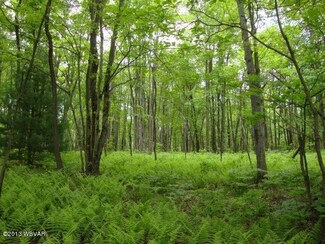 LOT #1 Beech Creek Mt Rd, Beech Creek, PA 16822