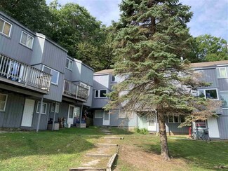 29 Eastside Ln Unit 12, Francestown, NH 03043