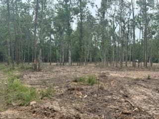 3870 tract 1 W Cr 2590, Chester, TX 75936