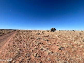 7558 Birch Ln, Snowflake, AZ 85937