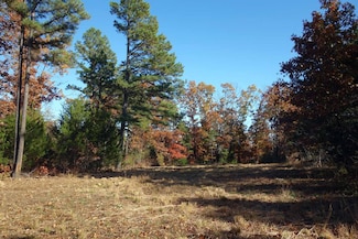 000 County Road 331, Summersville, MO 65571