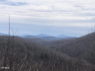 0 Helton Creek Ln, Whitetop, VA 24292