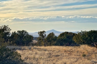 47 W Saddleback Mesa, Santa Fe, NM 87508