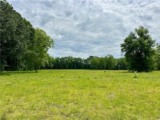 0 Johnson Rd, Slocomb, AL 36375