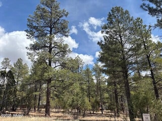 3260 W Black Oak Loop Unit Lot 28, Show Low, AZ 85901